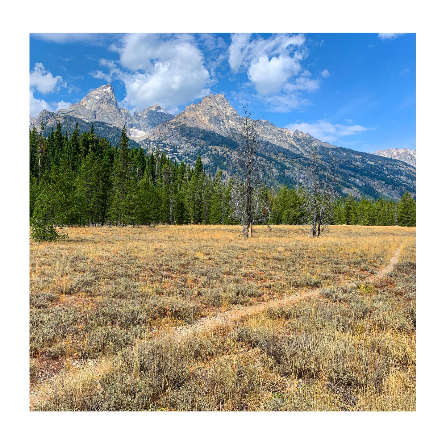 Signed Copy — Jackson Hole Hiking Guide — Paperback