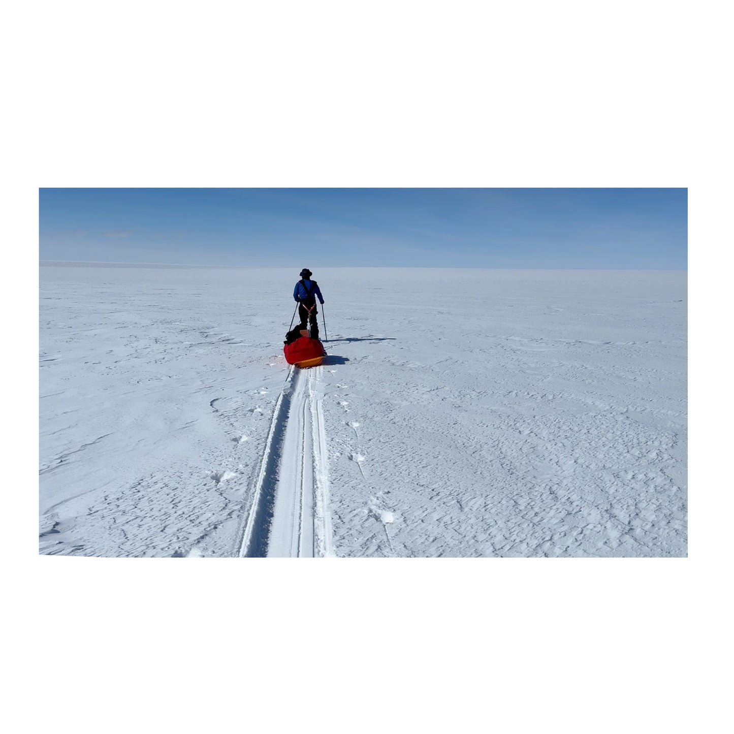 Signed Copy — Two Friends And A Polar Bear — Paperback