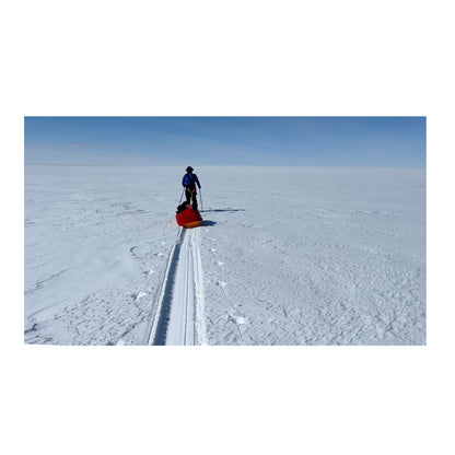 Signed Copy — Two Friends And A Polar Bear — Paperback