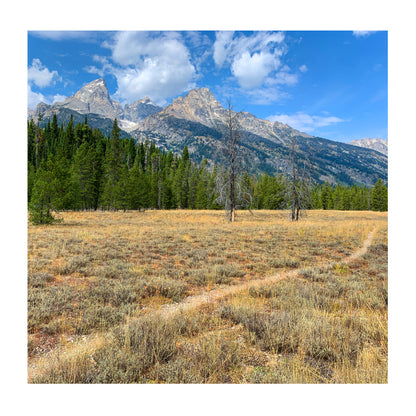 Jackson Hole Hiking Guide - Paperback
