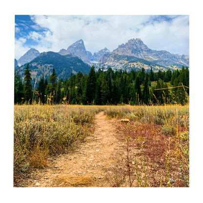 Jackson Hole Hiking Guide - Ebook