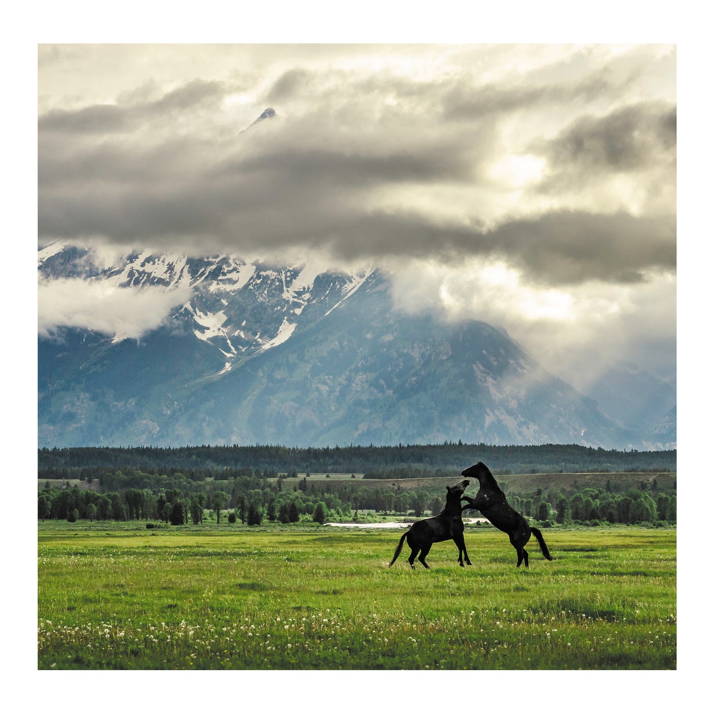 50 Jackson Hole Photography Hotspots - Paperback